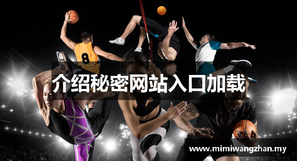 介绍秘密网站入口加载